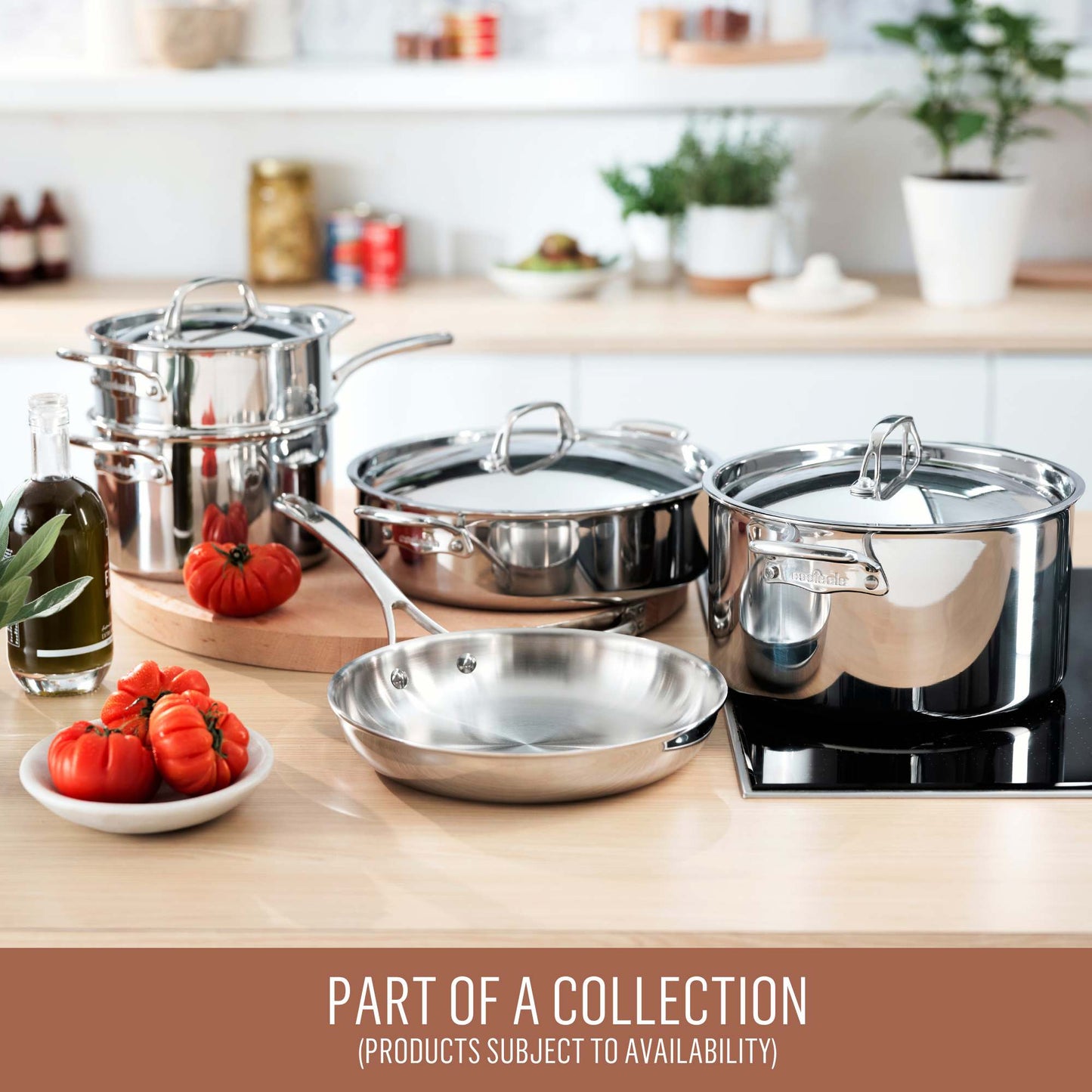 Essteele Eternità Clad Stainless Steel Induction Covered Stockpot 30cm/11.3L