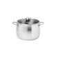 Meyer White Steel Stainless Steel Induction Stockpot With Glass Lid  24cm