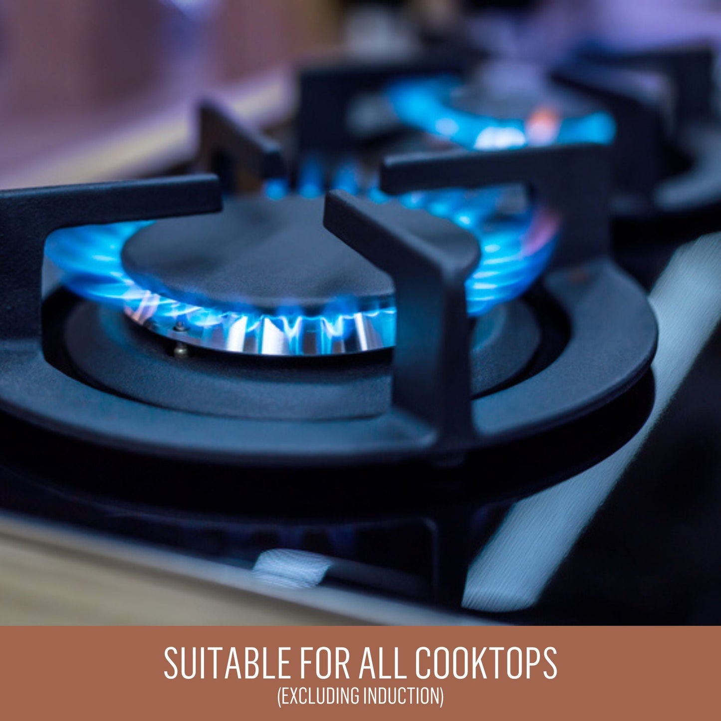 Essteele Nonstick Ovenware 2 Piece Roasting Pan Set