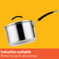 Meyer Stainless Steel Induction 5 Piece Set